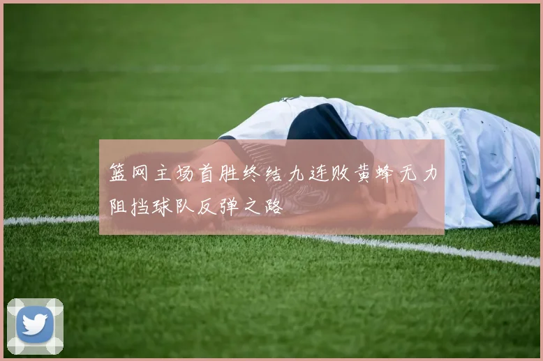 篮网主场首胜终结九连败黄蜂无力阻挡球队反弹之路